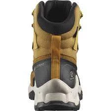 Salomon Quest Element GTX