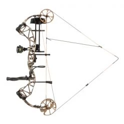 Bear Archery Bear Paradox