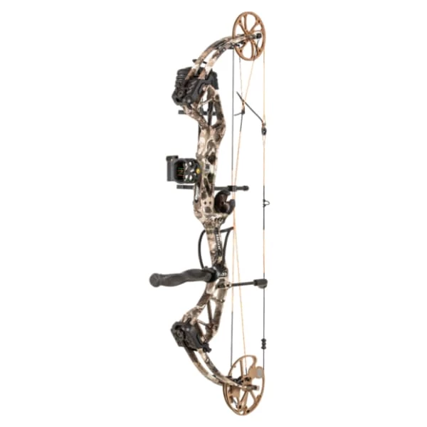 Bear Archery Bear Paradox 3 Bear Archery Bear Paradox