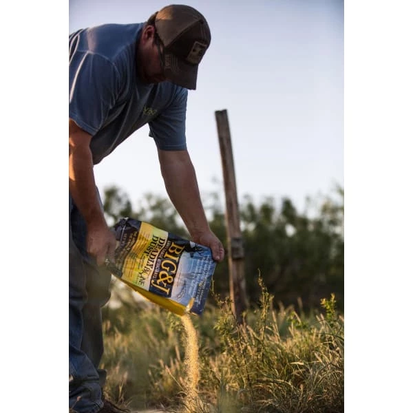 Big & J Deadly Dust GEAR 5 Big & J Deadly Dust GEAR