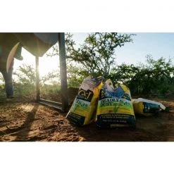 Big & J Deadly Dust GEAR 9 Big & J Deadly Dust GEAR