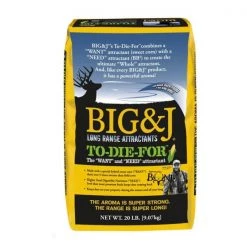 Big & J To Die For GEAR