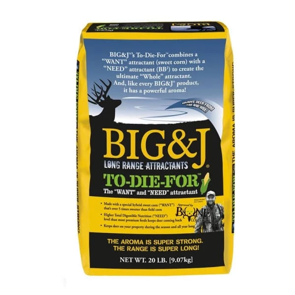 Big & J To Die For GEAR 3 Big & J To Die For GEAR