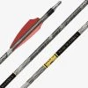 ARCHERY Gold Tip Black Label