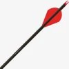 ARCHERY Gold Tip Black Label Quantum