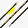 Gold Tip Hunter Pro ARCHERY 2 Gold Tip Hunter Pro ARCHERY