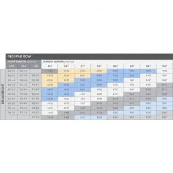 ARCHERY Gold Tip Kinetic Kaos