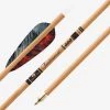 ARCHERY Gold Tip Traditional 2 ARCHERY Gold Tip Traditional