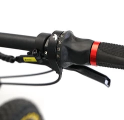 Bakcou Timberwolf E BIKES