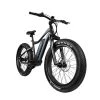 E BIKES Rambo Pursuit 1 E BIKES Rambo Pursuit
