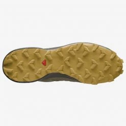 Salomon Speedcross 5 GTX