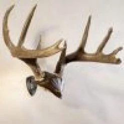 ARCHERY Skull Hooker Bone Bracket/Skull Cap Combo