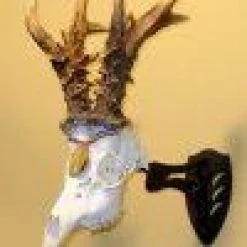 Skull Hooker Little Hooker ARCHERY