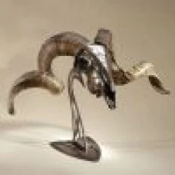 Skull Hooker Table Hooker