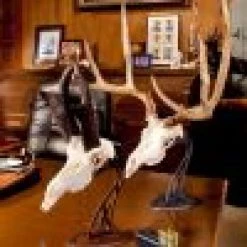 Skull Hooker Table Hooker