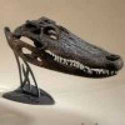 Skull Hooker Table Hooker