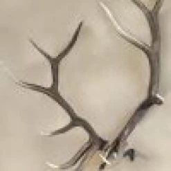 Skull Hooker XXL Bone Bracket